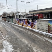 Un groupe de huit artistes a conçu les murales qui bordent désormais la ruelle adjacente à la station de métro Main Street dans l'est de Toronto.