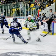 Des joueurs disputent un match de hockey.