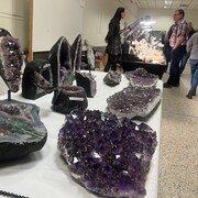 Des participants discutent près de spécimens de roches et de minéraux lors d'un salon.