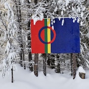 Un drapeau accroché à des arbres enneigés.