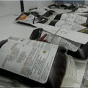 Échantillons sanguins avec des étiquettes de la Croix-rouge placés sur une table.