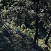 Un homme monte un escalier de pierre en forêt.
