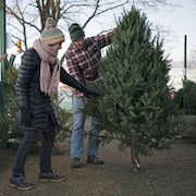 Un homme et une femme achètent un sapin de Noël.