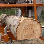 Un gros plan sur la partie supérieure d'un tronc d'arbre qui est partiellement coupé par la scierie mobile.