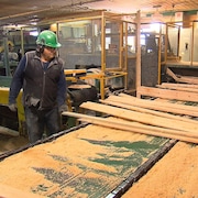 Un travailleur s'active &agrave; la scierie des Outardes de Produits forestiers R&eacute;solu.