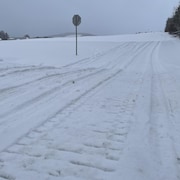 Un sentier de motoneige fermé car il n'y a pas assez de neige au sol.