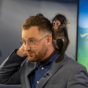 Un singe sur les épaules de Jonathan Roberge.