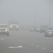 Une nappe de brouillard sur la route.
