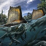Représentation artistique de deux Spinosaurus aegyptiacus dans un cours d'eau.