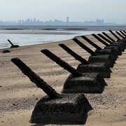 Des poteaux sur une plage.