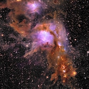 Nouvelle image de la nébuleuse Messier 78, prise par le télescope Euclid.