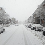 La neige a tout recouvert sur la Dixième Rue, à Limoilou.