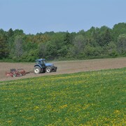 Un tracteur dans un champ qui semble sec.