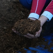 Deux mains tiennent un monticule de compost, le 3 mai 2024, à Yellowknife.