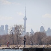 Des gens sur la plage devant un boisé et les gratte-ciel de Toronto à l'arrière-plan.