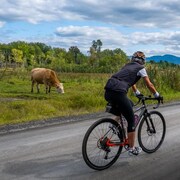 Un cycliste sur une route de campagne. 
