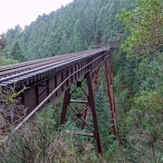 Un pont ferroviaire.