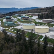 Un ensemble de réservoirs du pipeline Trans Mountain avec, en arrière-plan, des arbres et des montagnes.