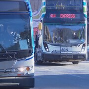 Deux autobus de la société de transport d'Edmonton.
