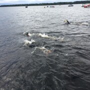 Trois nageurs dans l'eau.