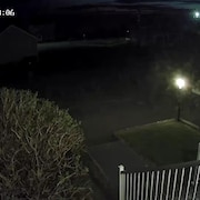 Un arbre et une rampe d'escalier dans la nuit. 