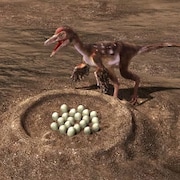 Une illustration montrant un dinosaure troodon devant un nid rempli d'œufs. 