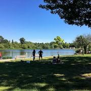 Des gens sont assis et debout près d'un lac et des chiens se promènent autour d'eux. 