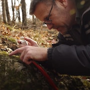 Troy McMullin observe du lichen