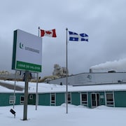 L'entrée principale de l'usine d'Uniboard à Val-d'Or. Un drapeau de l'entreprise, un drapeau du Canada et un autre du Québec flottent au vent. 