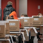 Des électeurs votent derrière des paravents d'Élections Québec.