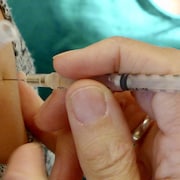Une seringue de vaccination pénètre un bras.