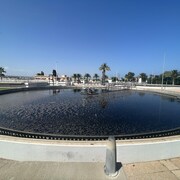 Des eaux usées en train d'être traitées, dans la région de Valence, en Espagne.