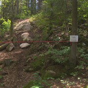 Un ruban rouge devant un sentier de vélo de montagne dans la forêt.
