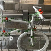 Un vélo sur lequel des fleurs artificielles ont été installées est accroché sur une clôture en métal, sous le viaduc.