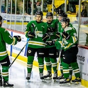 Des joueurs de hockey habillés de vert sur une patinoire. 