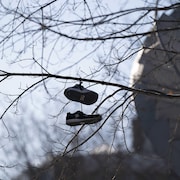 Des souliers suspendus à une branche d'arbre.
