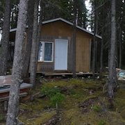 Un camp de chasse sous les sapins, avec des planches entassées et autres objets de chaque côté.