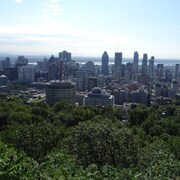 Vue des immeubles du centre-ville de Montréal et des arbres sur le flanc du mont Royal