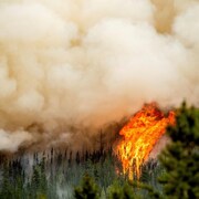 Un incendie de forêt.