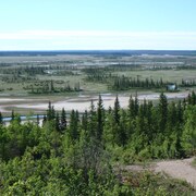 Une vue aérienne du parc. Il y a beaucoup de conifères, quelques feuillus, et de grands espaces sans arbres.