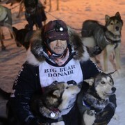 Un homme sur la neige en compagnie de ses chiens de traîneau.