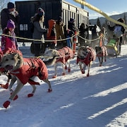 Un attelage de chiens sur la ligne de départ, le 3 février 2024.