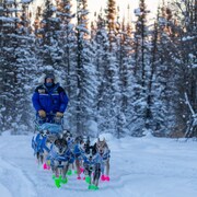 Jason Campeau sur son traîneau dans la forêt