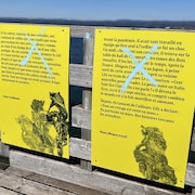 De gros X sur deux affiches de l'exposition.