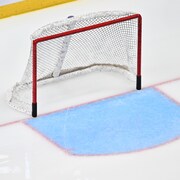 Image d'un but de hockey sur glace.