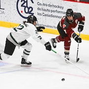 Deux joueuses de hockey d'équipes adverses tentent de maîtriser une rondelle à la gauche du filet.