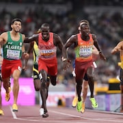 Les coureurs du 800 m franchissent la ligne d'arrivée.