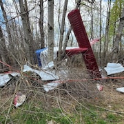 La carcasse de l'avion parmi les arbres.