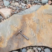 Une roche avec des empreintes et un marteau posé dessus