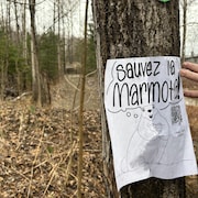 Une affiche demandant de « sauver La Marmota ».